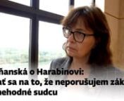 Žitňanská ku Harabinovi: Vstupuje do politiky, nemá čo súdiť from vlast