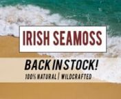 BACK IN STOCK! CLICK LINK IN BIO TO PURCHASE THE BEST ON THE MARKET SEAMOSS!nnWe are so glad you asked! Our Sea Moss is Harvested fresh from the Caribbean Sea by local divers in the tropical Island of Saint Lucia. The only preservative on this amazing gift from the Sea is its naturally occurring sea salt. nCharged up with the sun and moon energy during its natural drying process. This stuff is the closest your gonna get to diving deep and grabbing it yourself!nnSea Moss nourishes us with mineral