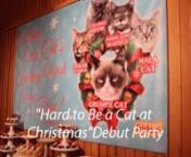 Grumpy Cat and other internet cat superstars such as Colonel Meow, Nala Cat, Oskar the Blind Cat and Hamilton the Hipster Cat united to unveil their new music video to help cats. See more information at http://www.catchannel.com/cat-pictures/internet-cats-holiday.aspx