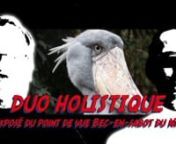 This video has been a long time in the making. Ever since i saw footage of the Shoebill-stork i have yearned to make a video with those fantastic birds as the centerpiece. When Duo Holisique even made a song to the shoebill I had to do it! I had seen the footage Marigoldsky 2009 made from her countless trips to Ueno Zoo in Tokyo and it was a matter of obtaining her permission to use some of it. After a long time she answered and said