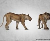 Walk and Run lioness animation cycles I made when I was on finals for Full Sail University, on Nov 2013.nModeler:Attakarn VachiravuthichainRigger: Luiz Phillipe MoreirannSee more at www.fabioanims.weebly.com