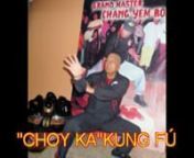 En la Escuela Chang Yem Bo Kung Fu Chang Perú, se enseña el estilo Choy Gar, Hung Gar Tradicional, Wing Chun, Chin Na, ChiKung, TaiChi Fan, y Armas Tradicionales Chinas del Sur, Bailes del León Chino. 39 años difundiendo y enseñando las artes marciales tradicionales chinas, linaje del G.M. Chang Wing Tak, Chang Kai Tong, Chang Jon Wing, Dn. Fausto Mang Li, Felipe Jo Pa Ji, Lum Bao. -El Kung Fú tradicional, no es una danza o un deporte de exhibición, aunque ciertamente es muy elegante, c