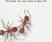 Testing a shot from an animation i ma currently working on in my spare time concerning fire ants. These little ladies were sculpted in ZBrush, textured in ZBrush/Mari, rigged and animated in Maya and rendered with Octane for Maya. No compositing on this shot (not even color correction). Motion blur looks great and I feel like I no longer have to do MB in post thanks to Octane!