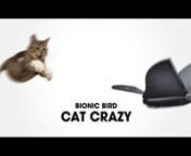 Stanley the Cat testing (and tasting) Bionic Bird !