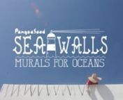 Sea Walls: Murals for Oceans is a ground-breaking street art project created by PangeaSeed to bring the beauty and the plight of the world’s oceans into streets around the globe. By collaborating with internationally renowned artists, we create large-scale murals that focus attention on pressing environmental issues the oceans are facing.nnIn collaboration with our friends at 1xRUN, Residencia Gorila,World Art Destination and Juxtapoz Latin America we embarked on our biggest Sea Walls project