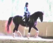 Competition Training with Heritage Riding , in Dressage , Showjumping and Eventing. Come train with us , on your own horse or one ofour very experienced Dressage or Eventing Competition Horses / Ponies , available for lease or just to compete. To achieve your DREAM call us today !!! 07 3206 3951.