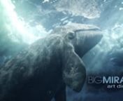 3 minute video demonstrating the VFX work for Big Miracle.nKenneth Nakada served as the Art Director for Rhythm and Hues.