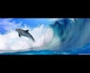 Si quieres saber el significado de los sueños con delfín, escucha este video atentamente, ya que menciono abiertamente su significado para así aclarar las dudas sobre tu sueño con los delfines.nSignificado Delfín: http://www.xn--interpretaciondelossueos-mlc.es/sonar-con-delfin.htmlnHazte amigo en Facebook: https://www.facebook.com/interpretacionesdesuenos