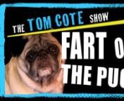 This is Buddy the pug at his worst. Pugs fart and I have to apologize for that. Also check out Tom’s “Food Snot” channel on Roku. Need to contact Tom? TheTomCoteShow@gmail.com