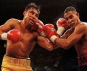 Billed as OPPOSITES ATTACK this fight between Oscar &#39;The Golden Boy&#39; De La Hoya and Hector &#39;Macho&#39; Camacho for the WBC and lineal welterweight championships. Camacho was stepping into the ring after beating &#39;Sugar&#39; Ray Leonard in the final fight of the legendary fighter&#39;s career.