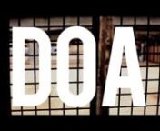 Anthony Williams - Dead Or Alive (Official Music Video) Ft Bola Zion from bola music video