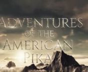 Adventures of the American Pika (Film Trailer 2018).nnAdventures of the American Pikas is a wildlife film about the astonishing lives of some of North America’s toughest and cutest mammals - The American Pika.American pikas are fascinating and cute creatures with a big personality.Not only are they well adapted to living in environments where many other mammals do not venture to go, they appear to be comfortable in the cooler, rocky and treacherous slopes of mountains.We would like to