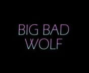 Song: Big Bad Wolf - Fifth Harmony