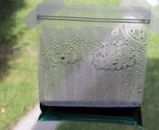 Do your kids ask you why it rains?Or maybe how clouds happen?Spend an afternoon teaching them why with this easy to do science experiment where you and your kids will make a water cycle in a bag.This is also a great activity for elementary science classes.Imagine your window covered in your student&#39;s shimmering water cycle experiments!