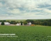 McDonalds invited a group of kids on a field trip to Desjardins Farms, NB to ask questions about cattle farming in Canada. Agency: Tribal DDB Production co: Circle Productions, Director: Tom Feiler, Producer: Jeff Pangman, DOP + Editor: Matt Johnson