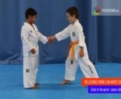First Blue to First Red is the 3rd level of the Mini-Kids syllabus.nnThis clip stars Leandre Canapi with the assistance of James Carver, both 7 year old. You also see a short snippet of some children actually doing their grading in March of 2015.nnThe syllabus at this level includes the following techniques:nnInner Forearm BlocknWalking Stance to 4 directionsnSaju Jirugi – 4 direction punchnInner Forearm Block and Knifehand Low BlocknStepping Front Snap Kick on Walking StancenReleasing – Low