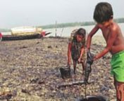 On 9 December 2014 an oil spill occurred at the Sela River of Sundarbans, Bangladesh, a UNESCO World Heritage site when an oil-tanker named Southern Star VII, carrying 350,000 litres (77,000 imp gal; 92,000 US gal) of furnace oil was sunk in the river after it had been hit by a cargo vessel. By December 17, the oil spread over 350 km2 (140 sq mi) area. The slick spread to a second river and a network of canals in the Sundarbans and blackened the shoreline. The event was very threatening to trees
