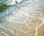 Seastreak - Enjoy The Waves on Sandy Hook Beach, NJ from on the beach