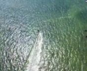 Awesome drone footage shot of rider: Dale BakernBoard: Jimmy Lewis Flight Deck 147nLocation: Stiltsville in Miami&#39;s Biscayne BaynMusic: Ron Allen-Tai Chi-Music for wellness
