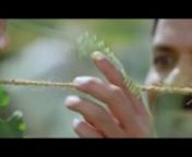 Njaanoru Malayali Video Song of JILEBI Malayalam Movie Jayasurya,Remya Nambeesan from remya nambeesan
