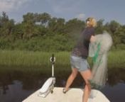 Capt Amanda King - SecondWindFishing.com - Using 7&#39; Betts net to grab a few dozen Finger Mullet for live bait Flounder Fishing.Cape Fear, Carolina Beach, NC