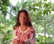 Vicky shares about her Master Plant Dieta Retreat experience at Caya Shobo Ayahuasca Healing Centre, Iquitos, Peru.