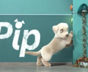 Southeastern Guide Dogs presents “Pip”, a heartwarming tale for underdogs everywhere.nStudio Kimchi were given the amazing opportunity to bring the story of Pip to life, and help raise awareness for this amazing charity organisation.nnDIRECTOR:nBruno SimõesnnEXECUTIVE PRODUCER:nStacy HowennPRODUCER:nLaia AlomarnnSTORY:nTitus HermannnSCREENPLAY:nDavid KilgonRichard MathernLeslie RowennANIMATION SUPERVISOR:nFerran CasasnnCG SUPERVISOR:nDani BuhigasnnCHARACTER DESIGN:nEstrela Lourenço nnMATTE