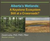 Alberta wetland policy development has been dynamic over the past 25 years. From no policy, to good policy, to somewhere in-between, a broad swath of issues and many stakeholders have driven the conversation. In 2011 I presented the AIA Green Paper, Alberta’s Keystone Ecosystem at a Crossroads: Wetlands, Land Use, and Policy on Alberta’s wetlands. Seven years later I reflect on the evolution of the policy, instruments, tools, and the state of Alberta’s wetlands. Resource development contin
