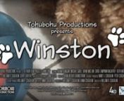 https://www.tohubohu.tv/winstonnnLEVIN GRAND PRIZE: 2016 Wheaton Film Festival • Wheaton, MDnSILVER AWARD: Independent Short • TIVA Peer Awards 2016nPEOPLE’S CHOICE AWARD: All Paws Film Festival 2017 • Gatineau, QCn“BEST OF” SELLECTION: 48 Hour Film Project 2016 • Washington, DCnOFFICIAL SELLECTION: Brownsville International Film Festival 2016 • Brownsville, TXnOFFICIAL SELLECTION: Miami Independent Film Festival • January 2017nOFFICIAL SELLECTION: 2017 Central Michigan Internation