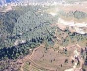 Perched between the world heritage Qadisha Valley and the Cedar forests of Tannourine is the Village of my ancestors..