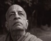 Hare Krishna! is a documentary on the life of Srila Prabhupada –the 70-year-old Indian Swami who arrived in America without support or money in the turbulent 1960s. It explores how he ignited the worldwide cultural revolution of spiritual consciousness, known as the Hare Krishna movement. With George Harrison, Boy George and more.