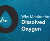 Why do we monitor for dissolved oxygen in water?nnLet’s talk about why people monitor for dissolved oxygen.nnMost aquatic organisms require dissolved oxygen in order to survive, but what exactly is it?nnDissolved oxygen, or DO, is just like the oxygen humans use to breathe, but has been dissolved in water. Unlike the bonded molecules of H20, DO refers to the free oxygen that is present in water or other liquids.nnOxygen can enter the water in several ways, such as from the atmosphere, aeration