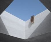 The “Lap Pool House” is a short film created for and in collaboration with the Greek architectural firm Aristides Dallas Architects, shot in Tinos island, Greece, in June 2020. It features a summer residence accompanied with the presence of three female swimmers of the Greek National Team of Synchronised Swimming. nn______nnFilm Credits:nnDirection, Direction of Photography, Camera &amp; Drone Operation: Mariana BistinEditing: Leonidas Papafotiou nColor grading: MetaPost nVFX: Thelxi Zygouri
