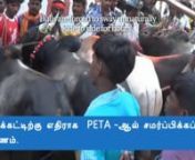 Jallikattu Documentary - A revisit to 2017 Jallikattu Protest. This documentary contains the answers for 1. How jallikattu issue began (2012), 2. How it was ended (2017)3. Anychance for future protest.