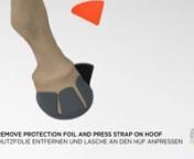 Mounting Instruction for P&amp;P Systems ESPRIT Horse Boots. Shop now at www.pp-systems.atnMusic by bensound.com