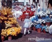 This film captures a family&#39;s visit to the Magic Kingdom March 1976, during the festive United States Bicentennial. A sampling of Walt Disney World&#39;s patriotic decorations can be seen throughout the park. In the first couple of minutes we see the vacationing family posing in a variety of park scenes. Views of vehicles, flowers and shops along Main Street give way to a close-up of the castle main entrance. Attractions such as the Haunted Mansion and the Riverboat adorn backgrounds as we make our