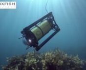 The Boxfish ROV is an underwater drone for high quality videography, inspection, data gathering or search &amp; recovery. It has accessory rails top and bottom for sonar, grabber, positioning etc. nIt provides live UHD video stream for monitoring or uncompressed recording straight to a hard-drive on the surface. This provides instant access to highest quality video and photos.nnLearn more about the Boxfish ROV at https://www.boxfish-research.com/nPatent Pending. Design Registration Pending.