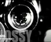 Glossy from Ã¤Â¸Â­Ã¦Ââ€˜Ã©Ââ„¢Ã©Â¦â„¢