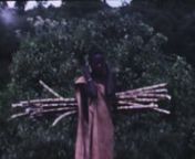 UNIDENTIFIED AFRICAN HOME MOVIEnUnknown filmmaker, circa 1955, 16mm, color, silent, 13:27nLocation: TanzanianShown at Home Movie Day BaltimorennFilm transfer by A/V GeeksnFilm courtesy of Bob WagnernThanks to: Bob &amp; Teresa Wagner, Rich RemsbergnnSee the Center for Home Movies&#39;