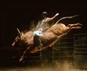Professional bull rider Cody Campbell reaches a breaking point in his career. nnn---nnDirector/Editor: Jesse Rosten &#124; http://jesserosten.comnDirector of Photography: Matt Jeppsen &#124;http://mattjeppsen.comnAC: Cameron CareynGrip/Electric: Sasquatch LightingnPhantom Tech: Daniel HurstnSound: Derek EcklundnMusic written and performed by: Robin Dupuy &#124; www.robin-dupuy.comnSound Design: Nick Nylen &#124; http://nicknylen.com/nColor: Martin Melnick &#124; Treehouse PostnnSpecial thanks to Michael Mace at Mossyr