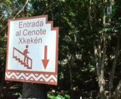 México 2016: Cenote Xkekén. from xkeken cenote