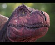 Hi,nnBelow you&#39;ll find my VFX Breakdown, More is coming soon : Turntable of Tyrannosaurus, Prognathodon, Bison, Drone, shots... and more.nnVFX Breakdown :nn0:03 - 0:18 : Dinos In The Wild - Texturing of the Tyrannosaurus: Software : Mari, Nukenn0:18 - 0:22 : Dinos in the wild - Texturing of the Thescelosaurus : Softwares : Mari, Nukenn0:23 - 0:27 : Dinos in the wild : Texturing of the Prognathodon : Softwares : Mari, Nukenn0:28 - 0:42 : Fantastic Beast and Where to Find Them : Texturing of the w