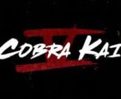 Cobra Kai | Season 5 | Official Trailer | Netflix from cobra kai season 5