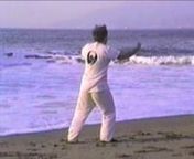 Yang Style, Long Form, T&#39;ai Chi Ch&#39;uannPracticioner Robert LeachnFilmed by Gerald DeCamp of Fine Arts Videonat McClure&#39;s Beach, Point Reyes National Seashore, CA USA, summer 1988nSorry about the clarity, this is from a Hi-8 copy of the SVHS sub-master made from the original 3/4