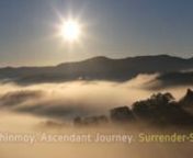 sourcehttps://www.radiosrichinmoy.org/ascendant-journey/nn11. Surrender-SongsnnMy God-surrendernIsnMy trouble-free life.nnSurrendernIs the harvestnOf my aspiration-life.nnSurrendernIs my immediatenAspiration-ascent.nnO seeker,nGod’s secret and sacred WillnIs always eager to dancenWith your surrender-life.nnGod will extol you to the skiesnIf you are always praying to GodnTo grant younWhat He Himself likes most:nA surrender-song.nnn***nSri Chinmoy (full name Chinmoy Kumar Ghose) was born in th