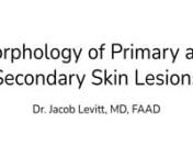 Morphology of Primary and Secondary Skin Lesions was the first of weekly educational zoom sessions by Lecturer Dr. Jacob Levitt, MD, FAAD. The session went live on Jan. 6, 2022.