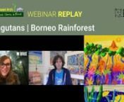 Webinar for KS2 children to paint alongside John Dyer a painting of orangutans in the rainforest of Borneo. Hosted by Born Free this Last Chance to Paint webinar is an introduction to the major education project for schools https://www.lastchancetopaint.com