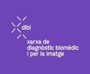 Branding-web-design-dibi-00 from dibi