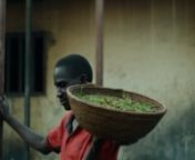 Michelle Coomber’s “Nsenene” stunningly captures the practice of grasshopper-catching in Uganda, and shows how the seemingly ethereal creatures form a part of the country’s diet and economy.