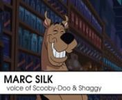Marc Silk is heard around the world in Cartoons, Films, TV Shows, Commercials, Theme Parks &amp; Games.nHe worked with George Lucas in Star Wars: Episode I performing the voice of Senator Aks Moe.nHe plays multiple characters in animated hit TV shows, including: Danger Mouse, Go Jetters, Johnny Bravo, Fifi &amp; The Flowertots, Roary The Racing Car, &amp; Emmy nominated Strange Hill High.nnHe performs the voices of Shaggy &amp; Scooby-Doo, and the voice of Bob The Builder in the USA.nMarc is als